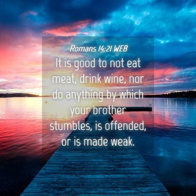 Picture 04 - Romans 14:21 WEB - It is good to not eat meat, drink wine, nor do - Bible Verse Picture