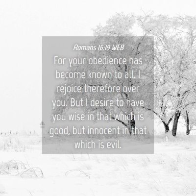 Picture 04 - Romans 16:19 WEB - For your obedience has become known to all. I - Bible Verse Picture