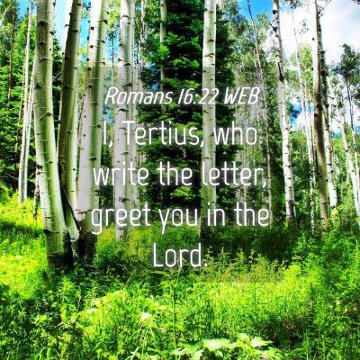 Picture 04 - Romans 16:22 WEB - I, Tertius, who write the letter, greet you in - Bible Verse Picture