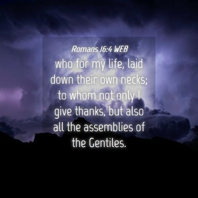 Picture 04 - Romans 16:4 WEB - who for my life, laid down their own necks; to - Bible Verse Picture