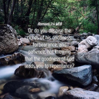 Picture 04 - Romans 2:4 WEB - Or do you despise the riches of his goodness, - Bible Verse Picture