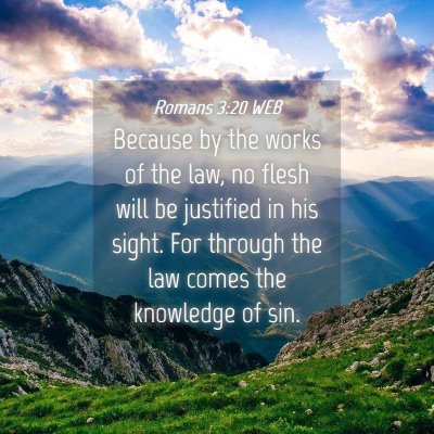 Picture 04 - Romans 3:20 WEB - Because by the works of the law, no flesh will be - Bible Verse Picture