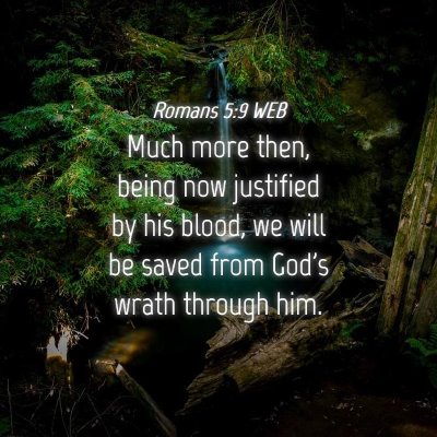Picture 04 - Romans 5:9 WEB - Much more then, being now justified by his blood, - Bible Verse Picture