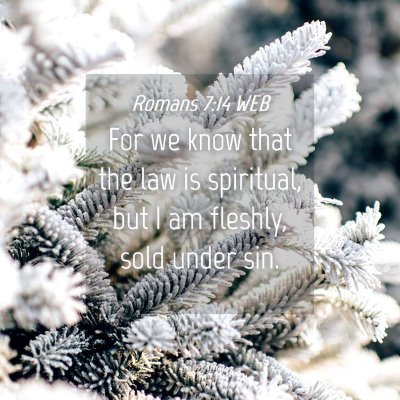Picture 04 - Romans 7:14 WEB - For we know that the law is spiritual, but I am - Bible Verse Picture