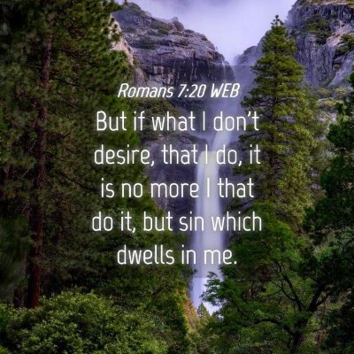 Picture 04 - Romans 7:20 WEB - But if what I don't desire, that I do, it is no - Bible Verse Picture