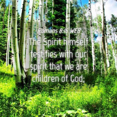 Picture 04 - Romans 8:16 WEB - The Spirit himself testifies with our spirit that - Bible Verse Picture