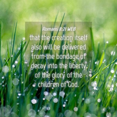 Picture 04 - Romans 8:21 WEB - that the creation itself also will be delivered - Bible Verse Picture
