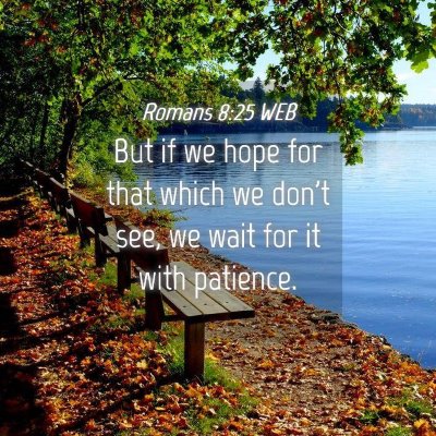 Picture 04 - Romans 8:25 WEB - But if we hope for that which we don't see, we - Bible Verse Picture