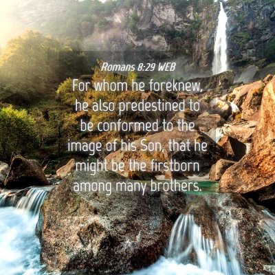 Picture 04 - Romans 8:29 WEB - For whom he foreknew, he also predestined to be - Bible Verse Picture