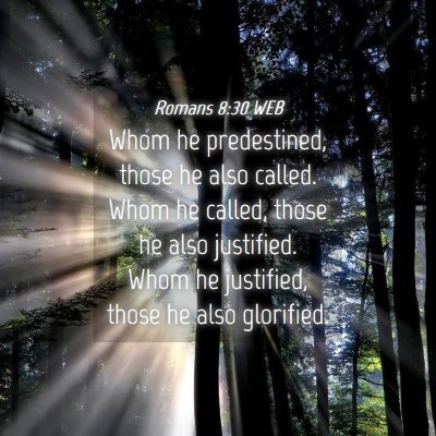 Picture 04 - Romans 8:30 WEB - Whom he predestined, those he also called. Whom - Bible Verse Picture
