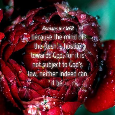 Picture 04 - Romans 8:7 WEB - because the mind of the flesh is hostile towards - Bible Verse Picture