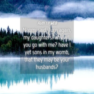 Picture 04 - Ruth 1:11 WEB - Naomi said, Turn again, my daughters: why will - Bible Verse Picture
