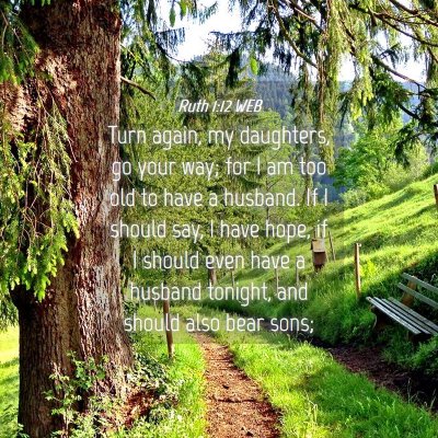 Picture 04 - Ruth 1:12 WEB - Turn again, my daughters, go your way; for I am - Bible Verse Picture