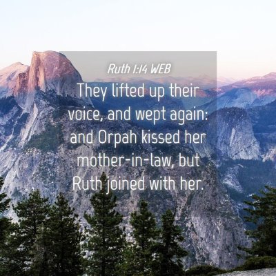 Picture 04 - Ruth 1:14 WEB - They lifted up their voice, and wept again: and - Bible Verse Picture