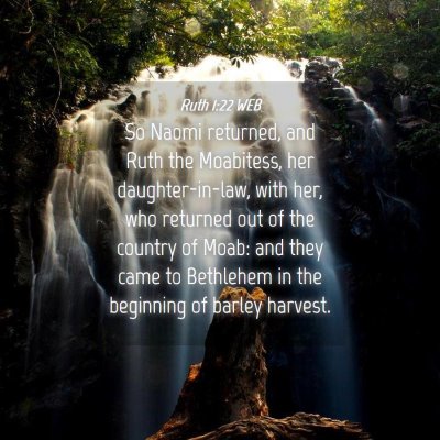 Picture 04 - Ruth 1:22 WEB - So Naomi returned, and Ruth the Moabitess, her - Bible Verse Picture
