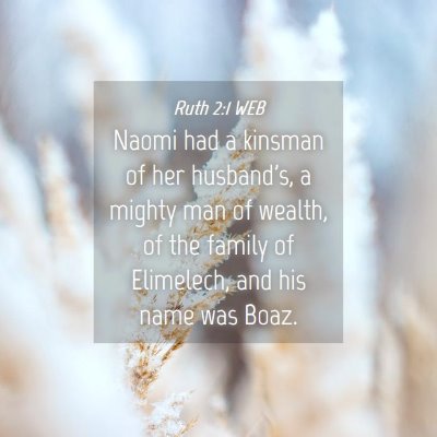 Picture 04 - Ruth 2:1 WEB - Naomi had a kinsman of her husband's, a mighty - Bible Verse Picture