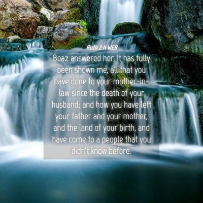 Picture 04 - Ruth 2:11 WEB - Boaz answered her, It has fully been shown me, - Bible Verse Picture
