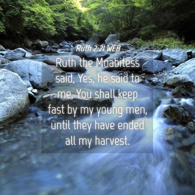 Picture 04 - Ruth 2:21 WEB - Ruth the Moabitess said, Yes, he said to me, You - Bible Verse Picture