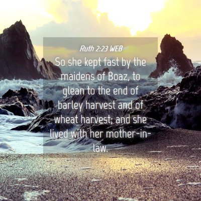Picture 04 - Ruth 2:23 WEB - So she kept fast by the maidens of Boaz, to glean - Bible Verse Picture