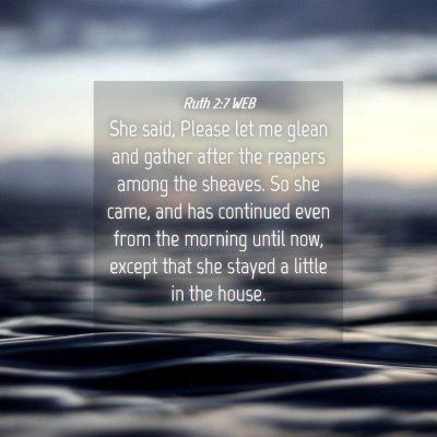 Picture 04 - Ruth 2:7 WEB - She said, Please let me glean and gather after - Bible Verse Picture