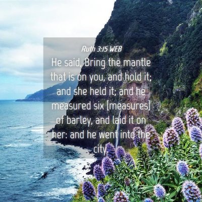 Picture 04 - Ruth 3:15 WEB - He said, Bring the mantle that is on you, and - Bible Verse Picture