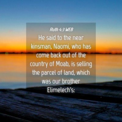 Picture 04 - Ruth 4:3 WEB - He said to the near kinsman, Naomi, who has come - Bible Verse Picture