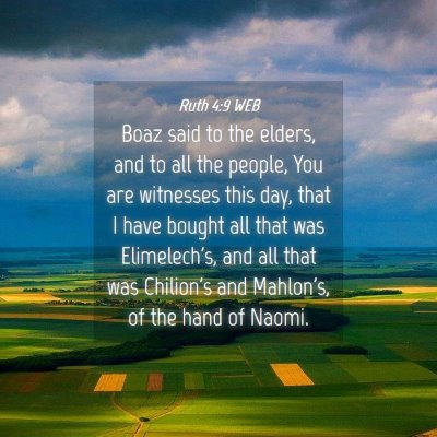 Picture 04 - Ruth 4:9 WEB - Boaz said to the elders, and to all the people, - Bible Verse Picture