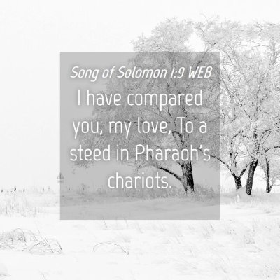 Picture 04 - Song of Solomon 1:9 WEB - I have compared you, my love, To a steed in - Bible Verse Picture