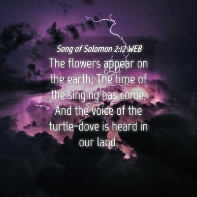 Picture 04 - Song of Solomon 2:12 WEB - The flowers appear on the earth; The time of the - Bible Verse Picture