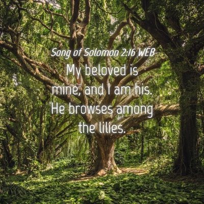 Picture 04 - Song of Solomon 2:16 WEB - My beloved is mine, and I am his. He browses - Bible Verse Picture