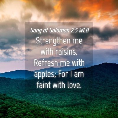 Picture 04 - Song of Solomon 2:5 WEB - Strengthen me with raisins, Refresh me with - Bible Verse Picture