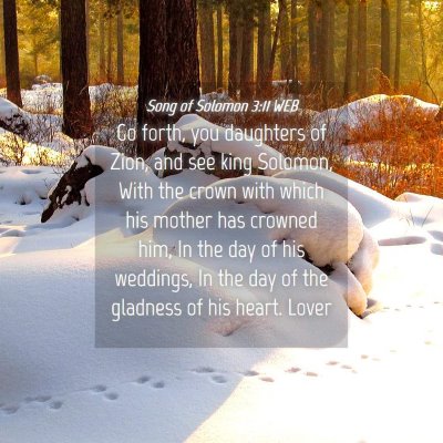 Picture 04 - Song of Solomon 3:11 WEB - Go forth, you daughters of Zion, and see king - Bible Verse Picture