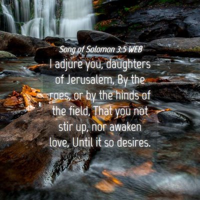 Picture 04 - Song of Solomon 3:5 WEB - I adjure you, daughters of Jerusalem, By the - Bible Verse Picture