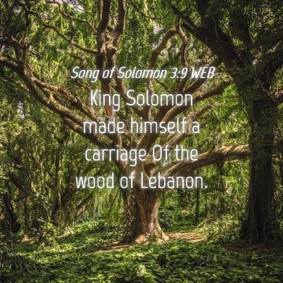Picture 04 - Song of Solomon 3:9 WEB - King Solomon made himself a carriage Of the wood - Bible Verse Picture