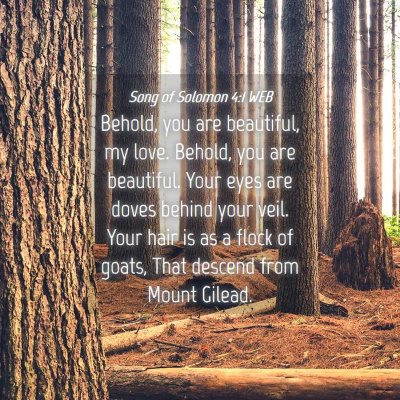 Picture 04 - Song of Solomon 4:1 WEB - Behold, you are beautiful, my love. Behold, you - Bible Verse Picture