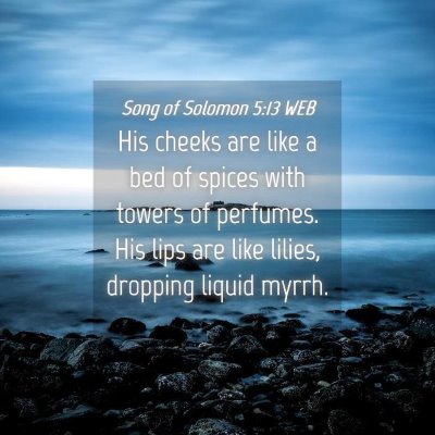 Picture 04 - Song of Solomon 5:13 WEB - His cheeks are like a bed of spices with towers - Bible Verse Picture