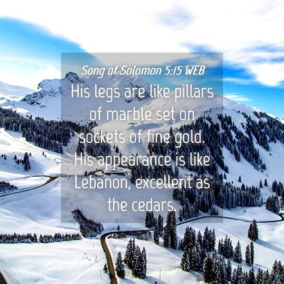 Picture 04 - Song of Solomon 5:15 WEB - His legs are like pillars of marble set on - Bible Verse Picture