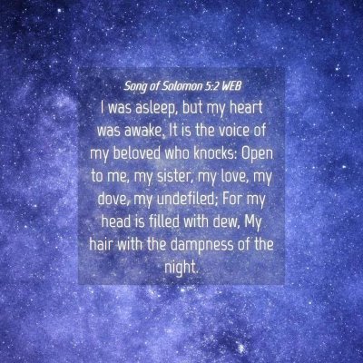 Picture 04 - Song of Solomon 5:2 WEB - I was asleep, but my heart was awake. It is the - Bible Verse Picture