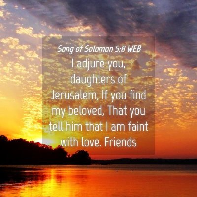 Picture 04 - Song of Solomon 5:8 WEB - I adjure you, daughters of Jerusalem, If you find - Bible Verse Picture
