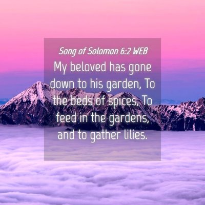 Picture 04 - Song of Solomon 6:2 WEB - My beloved has gone down to his garden, To the - Bible Verse Picture