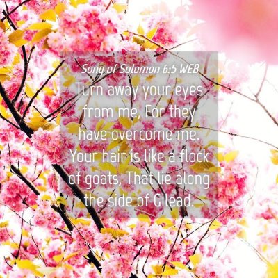 Picture 04 - Song of Solomon 6:5 WEB - Turn away your eyes from me, For they have - Bible Verse Picture