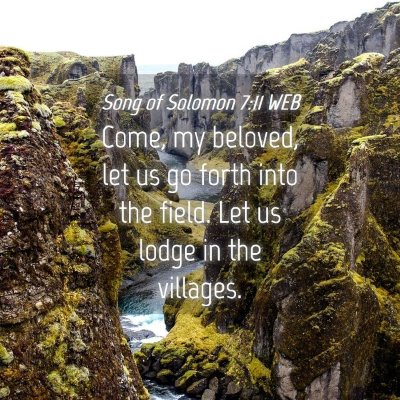 Picture 04 - Song of Solomon 7:11 WEB - Come, my beloved, let us go forth into the field. - Bible Verse Picture