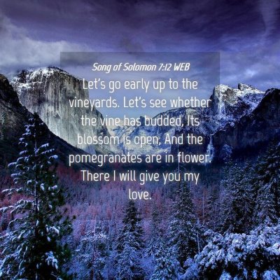 Picture 04 - Song of Solomon 7:12 WEB - Let's go early up to the vineyards. Let's see - Bible Verse Picture
