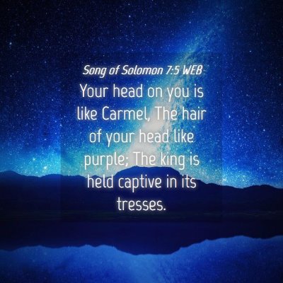 Picture 04 - Song of Solomon 7:5 WEB - Your head on you is like Carmel, The hair of your - Bible Verse Picture