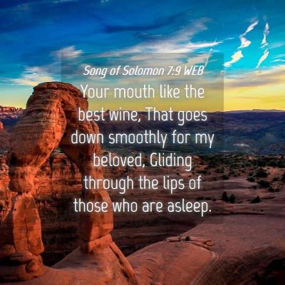 Picture 04 - Song of Solomon 7:9 WEB - Your mouth like the best wine, That goes down - Bible Verse Picture