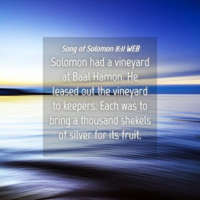 Picture 04 - Song of Solomon 8:11 WEB - Solomon had a vineyard at Baal Hamon. He leased - Bible Verse Picture