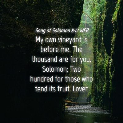 Picture 04 - Song of Solomon 8:12 WEB - My own vineyard is before me. The thousand are - Bible Verse Picture