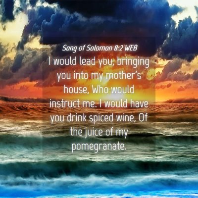 Picture 04 - Song of Solomon 8:2 WEB - I would lead you, bringing you into my mother's - Bible Verse Picture