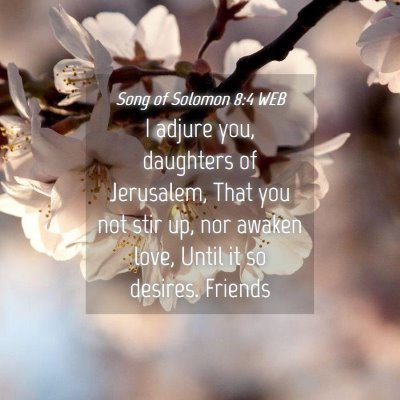 Picture 04 - Song of Solomon 8:4 WEB - I adjure you, daughters of Jerusalem, That you - Bible Verse Picture