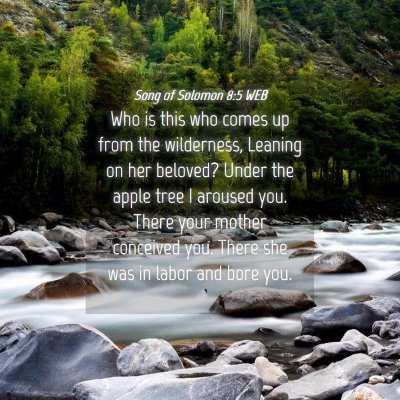 Picture 04 - Song of Solomon 8:5 WEB - Who is this who comes up from the wilderness, - Bible Verse Picture